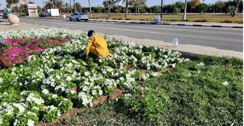 ajel2F2024 042F8f6c2ec9 dc45 426d ad8b dadc29c8976a2FCapture