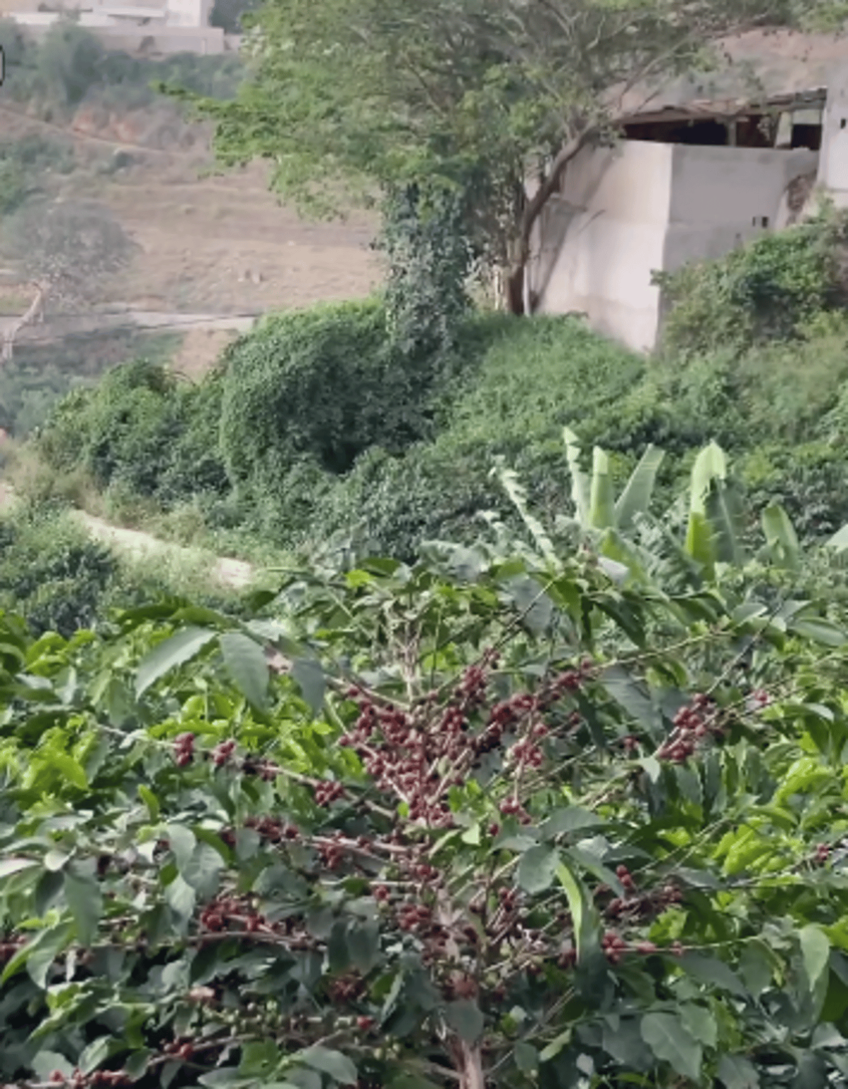 ajel2F2024 042F9c5c0c02 45fc 42d0 a92a c939d8b506752F7df9aee7 d432 473f bad6 578183422e16