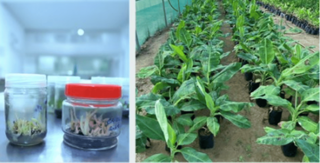 ajel2F2024 042Fb3b31315 a1b6 4e24 baa1 add55180f3322FScreenshot 2024 04 02 200835