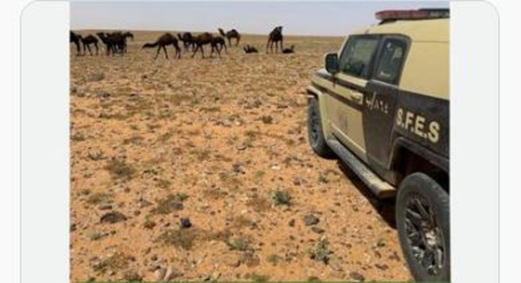 ajel2F2024 042Fc091f1de 20f5 4df6 8665 2b50389b0dfe2FCapture