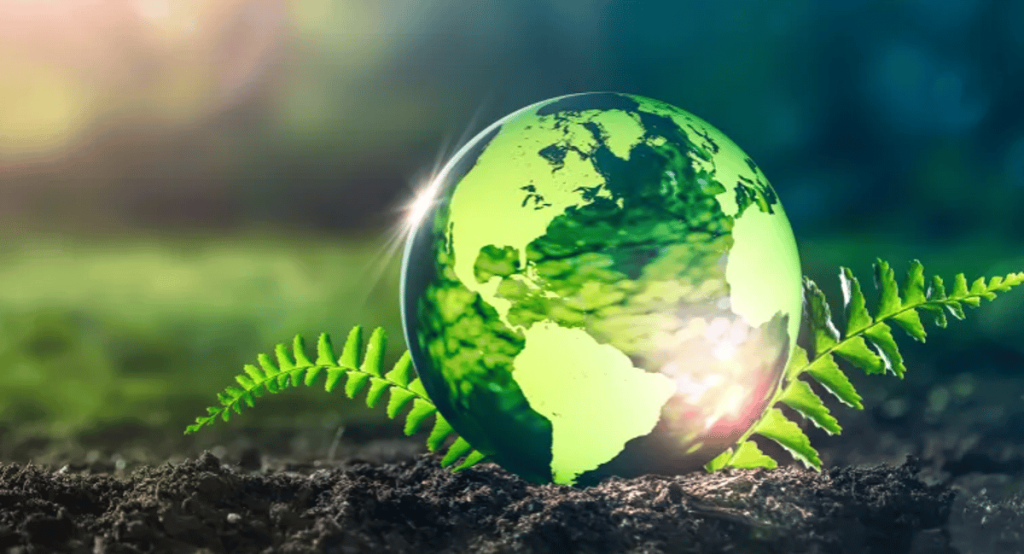 ajel2F2024 042Fc8dd209e 002c 4758 8881 3918e5d462a82F7194e781 f1c3 4b00 a8eb 35e762b05f02