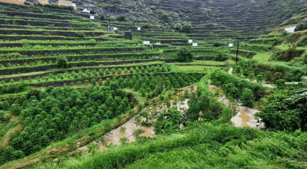 ajel2F2024 042Fdae7ce62 f5a8 42de b018 69edfa30b26e2Fc5e4f9c2 a8ea 447b 93eb f17e0b71f3d0