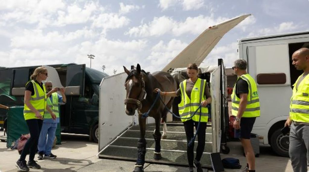 ajel2F2024 042Fdd3dffc7 559e 48bc 9d70 bde0b53389972FCapture