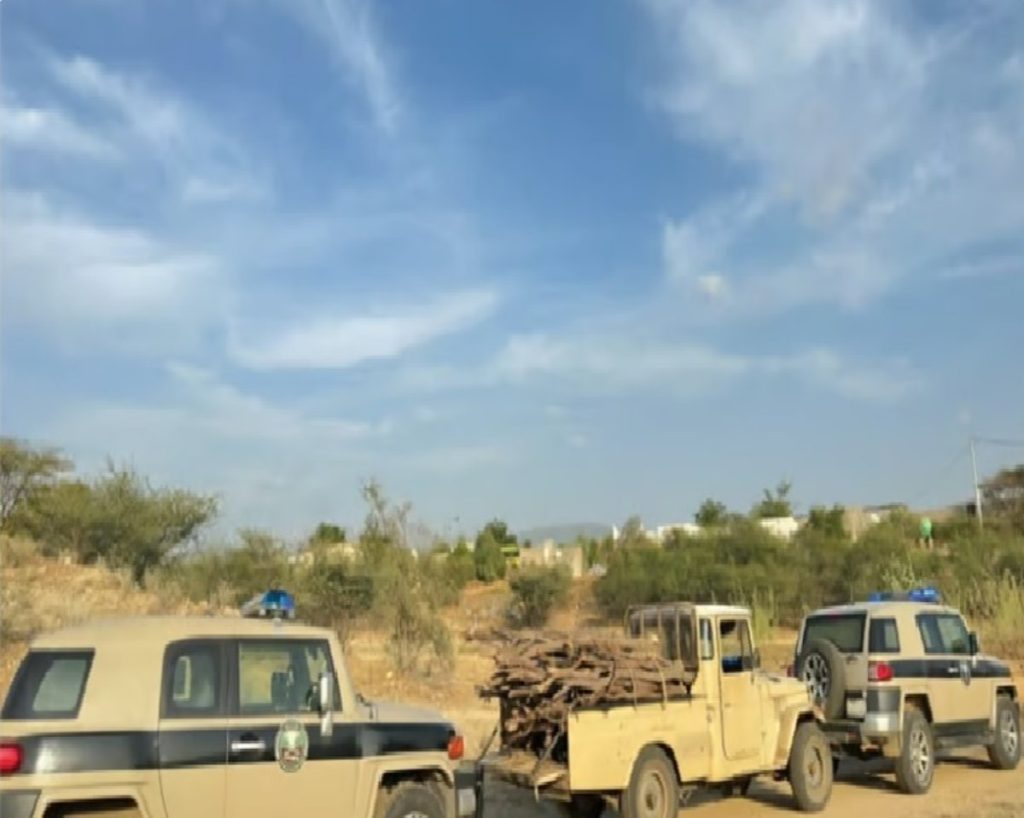 ajel2F2024 042Ff4408f01 5d6a 423b ae2c b162070ba8322Fa5d22569 e4f5 4652 9a2d 76b0324b7c21