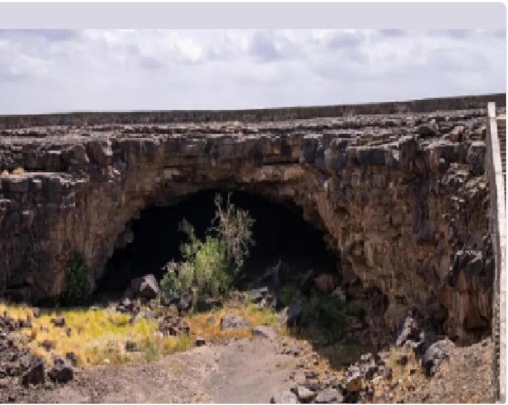 ajel2F2024 042Ffb4f58c8 11d8 43d9 b037 f1df93447db72F49b7db90 dcea 41e4 b0fc ff81da1bcc5f