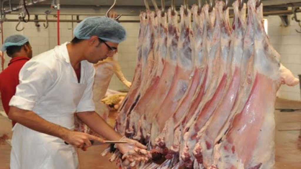 ajel2Fimport2Fuploads2Fmaterial file2F5f01fd673c48a9293c7bf5d92F5f01fe1981968