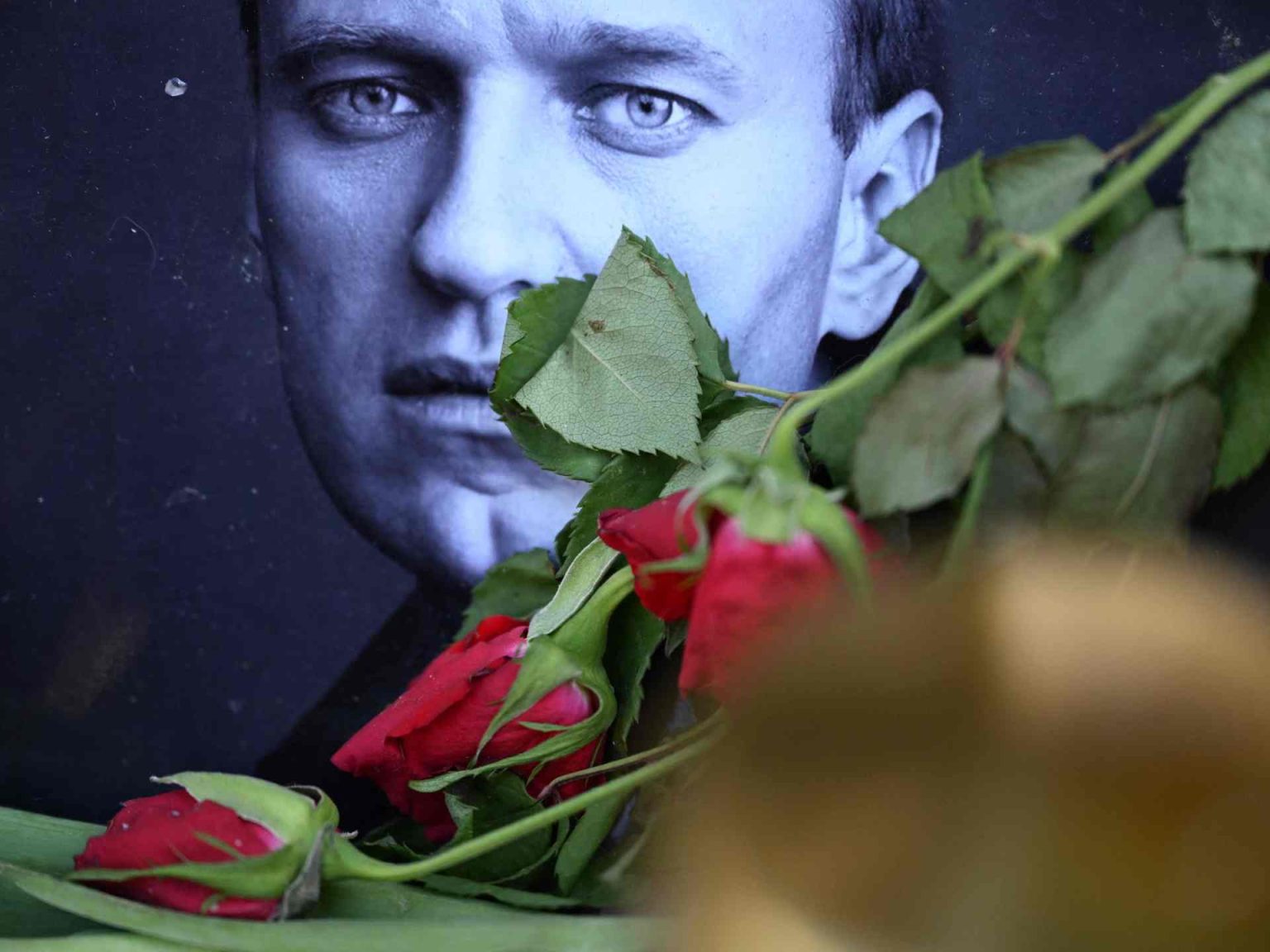 doc 34ke497 1709279823