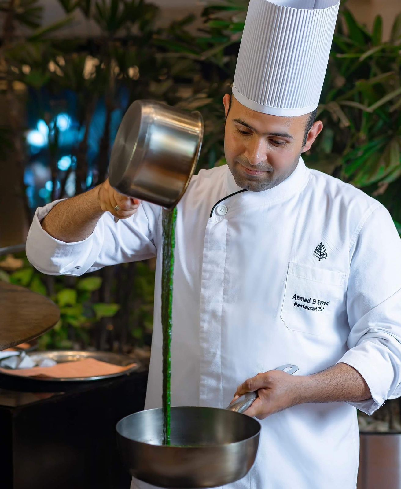 e70bd608 e841 4761 97ee 16605853d15d.jfif