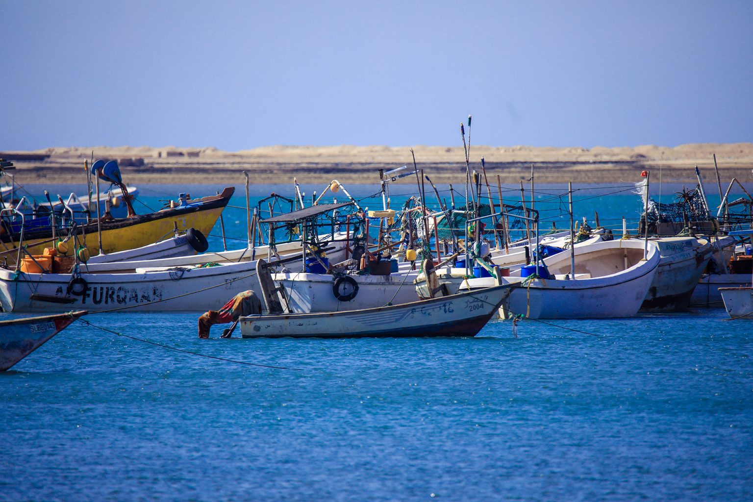 الصومال يطرد سفير إثيوبيا ويتهمها بالتدخل “الفج” في شؤونه shutterstock 1701428488 1712248678