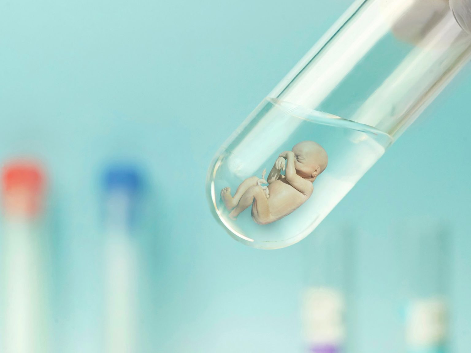 shutterstock 2247431209 1713361350