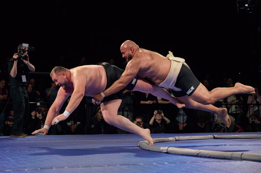 sumo wrestler champion oosuna sandstorm 80040713