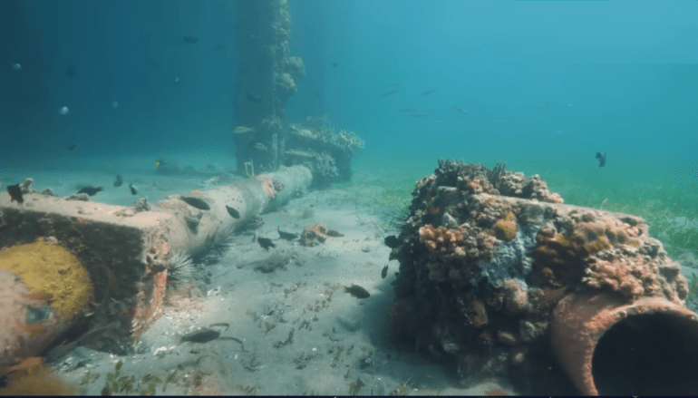 كابلات كائنات 1712134073