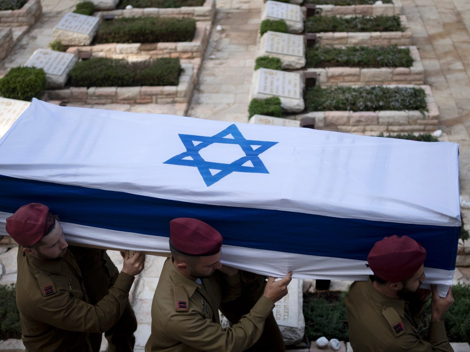 AP24276542312202 1727935611