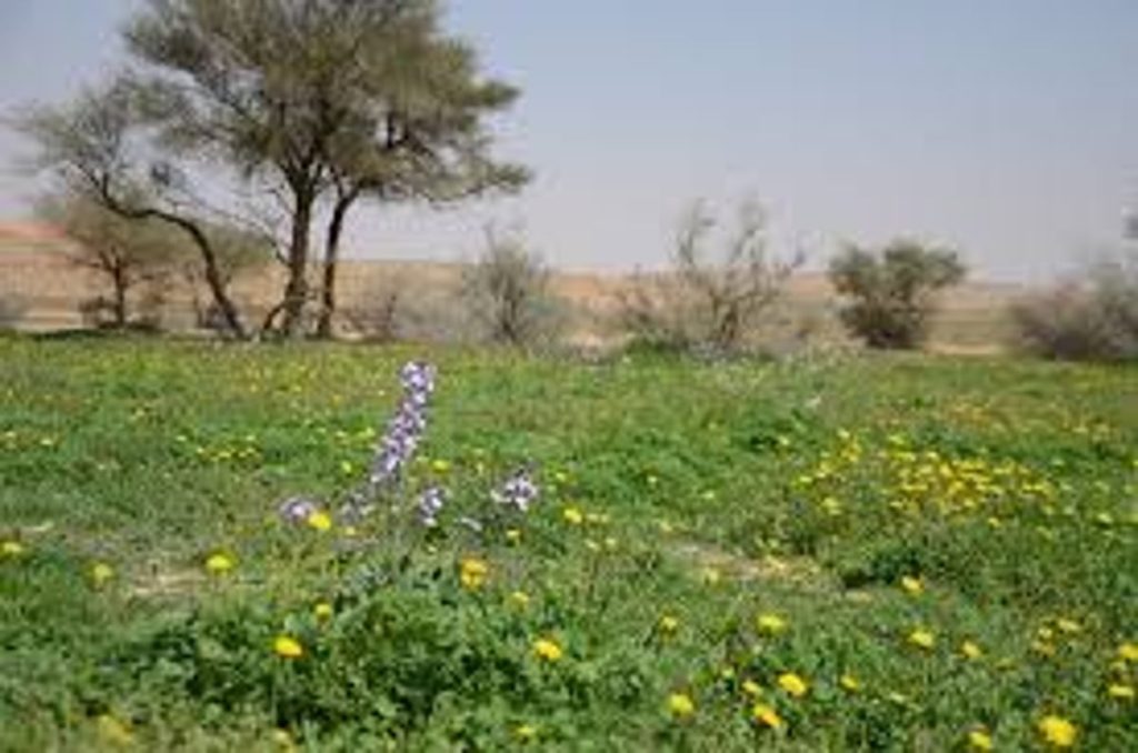 ajel2F2024 10 232Fie7xpdof2Fimages