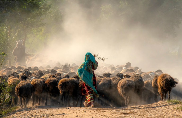 shepherds and flock of sheep in the dust, Baluchistan, Pakistan