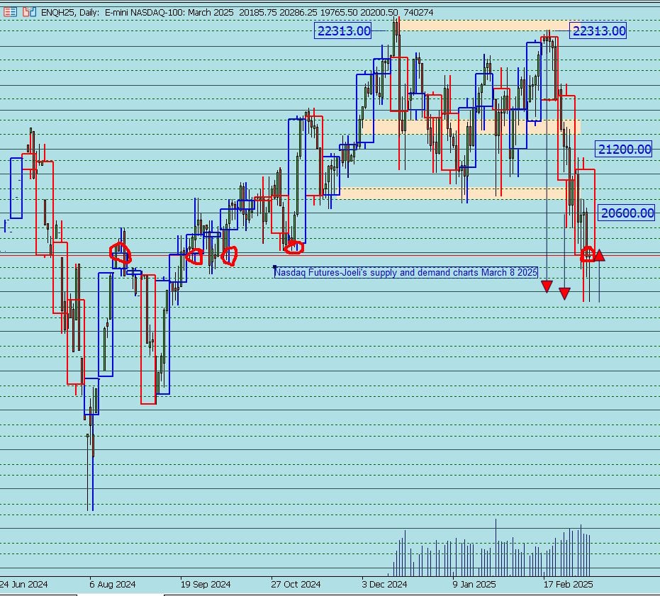 Nasdaq Futures daily FX Street 8 03 2025 , 8 16 08 AM 638770583242560662