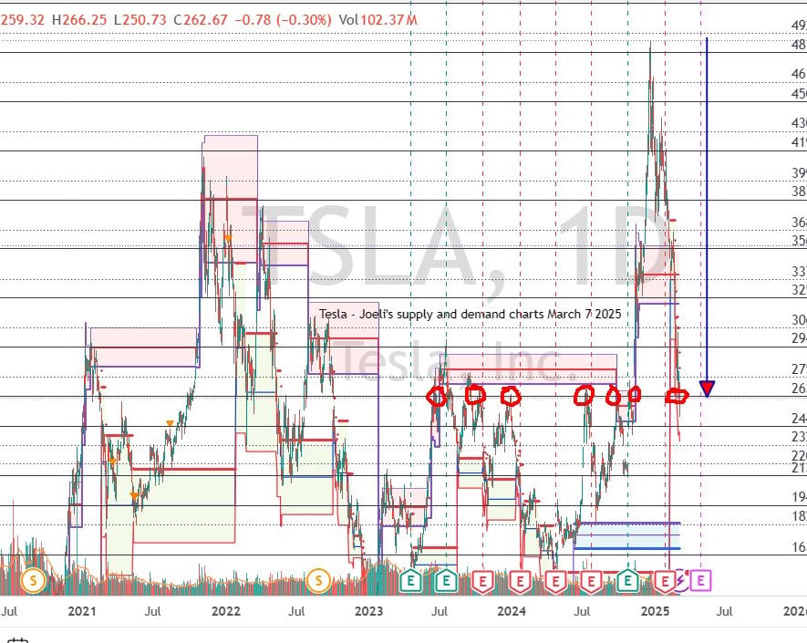 Tesla daily chart 8 03 2025 , 2 50 27 PM 638770585943842240