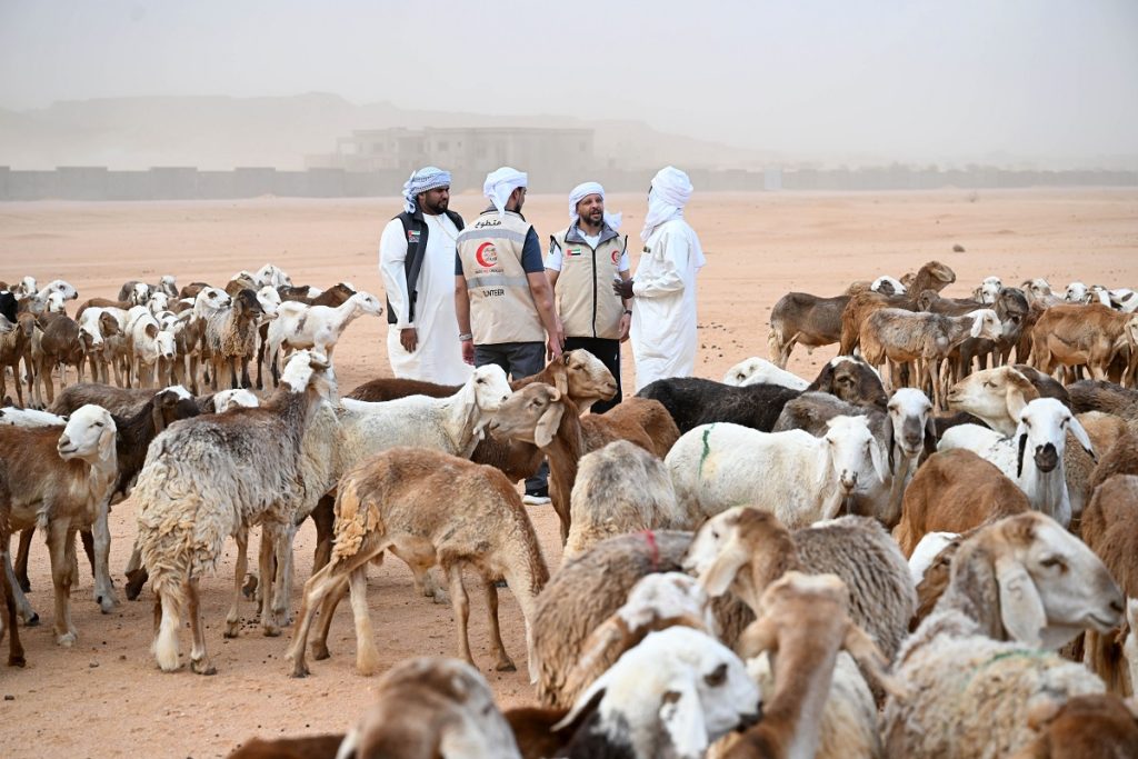 “الهلال الأحمر” تطلق حملة مشروع الأضاحي بتكلفة 15 مليون درهم 1745859469 image