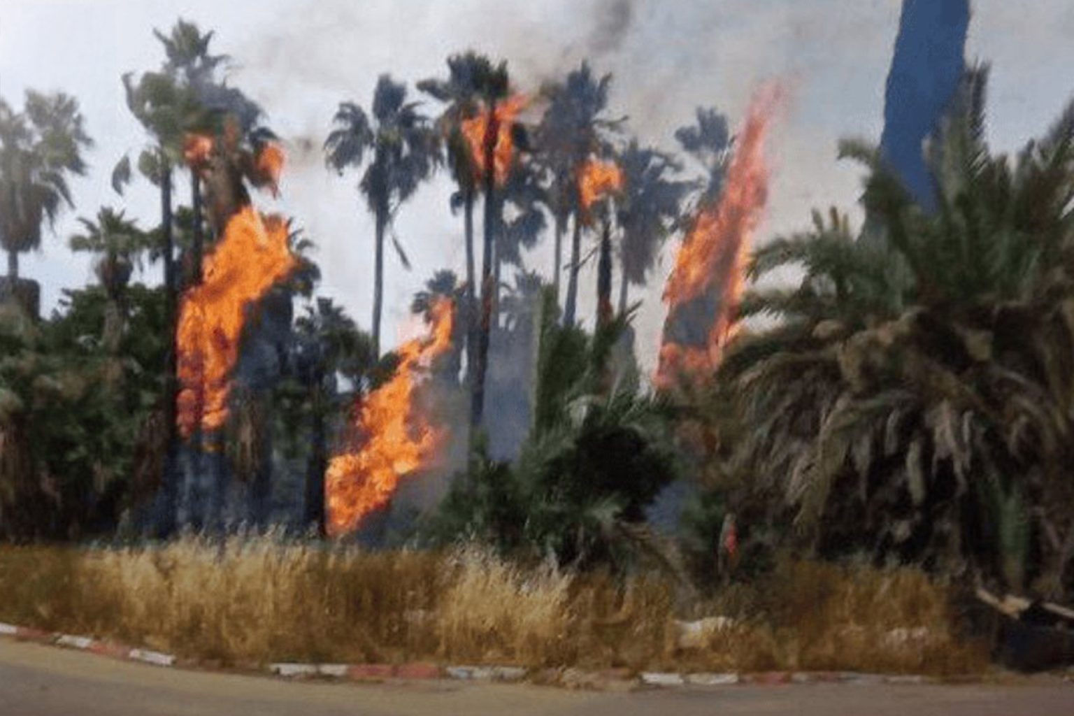 حرائق كبيرة وسط إسرائيل والسلطات تحاول إجلاء المئات Gpi3879XIAAwxvq 1745760650