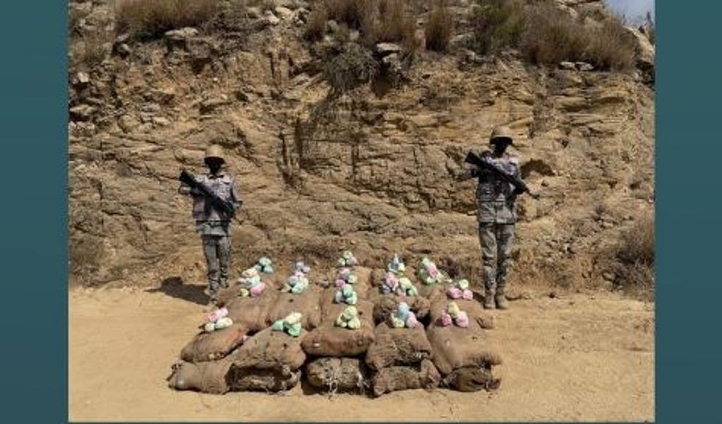 إحباط تهريب 600 كيلوجرام من نبات القات بمنطقة عسير ajel2F2025 04 272F8fokk3bi2FCapture