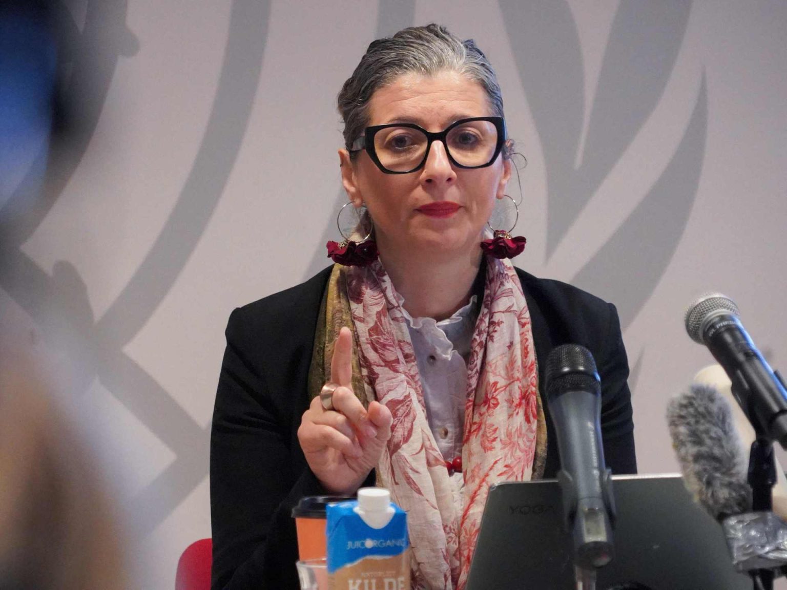 ألبانيزي: الغرب عنصري ويتمسك بازدواجية معايير بلا تعاطف مع الفلسطينيين doc 36x93pb 1745062486