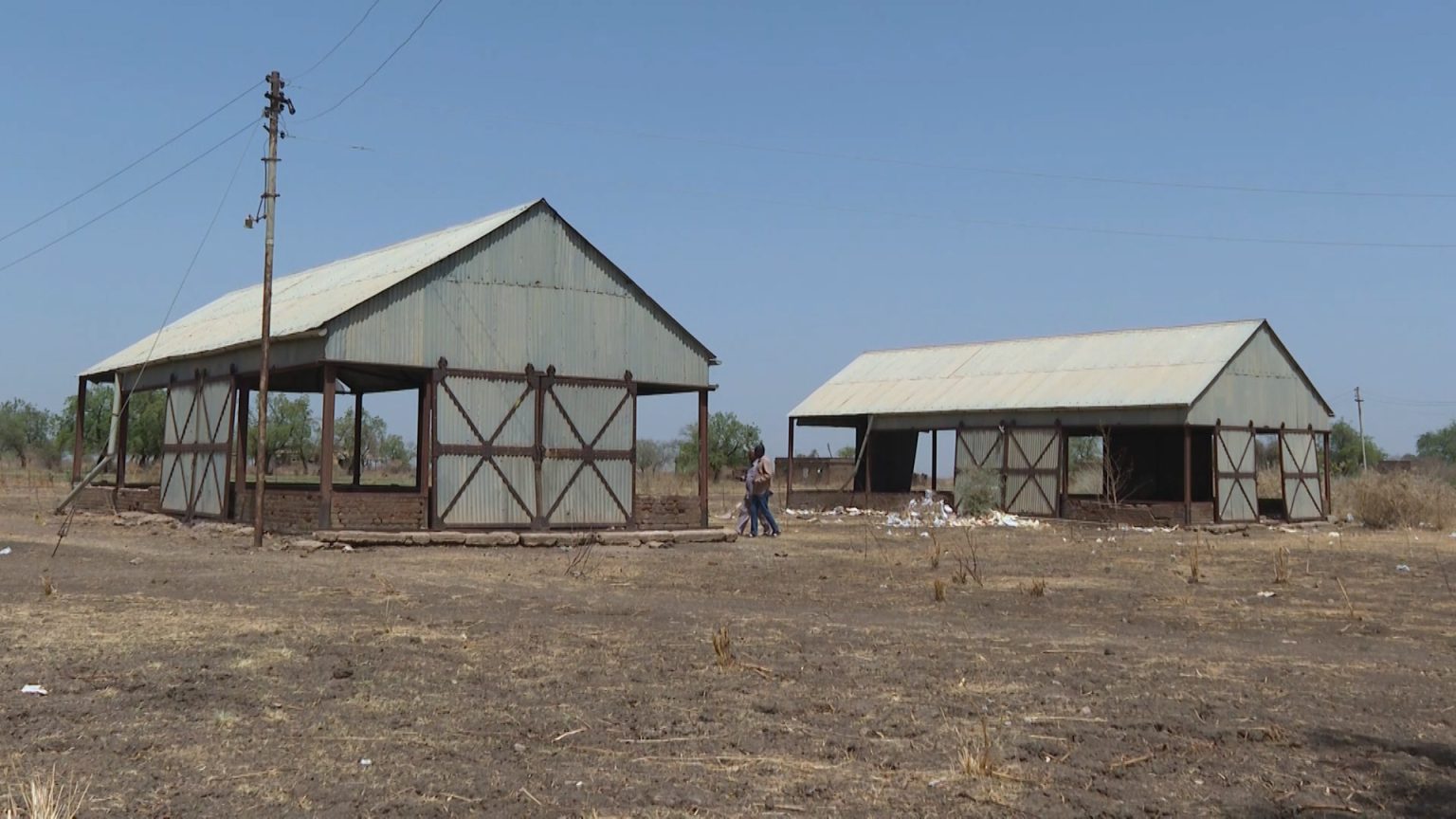 هكذا أثرت حرب السودان على مشروع الجزيرة الزراعي image 1744356389