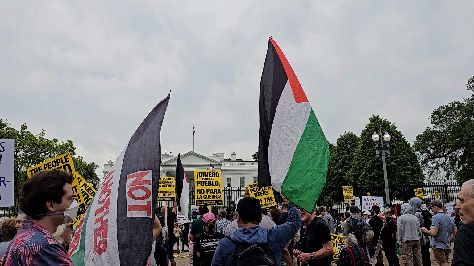 “ارحل ترامب” الشعار الأبرز لمظاهرات عارمة بالعاصمة الأميركية image 1745135633