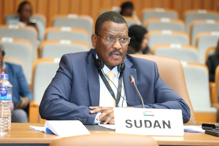 تفاصيل جلسة أفريقية حقوقية "ساخنة" بشأن السودان 20 مندوب السوداان رفض مساواة القوات المسلحة السودانية وهو جيش وطني يخضع للدولة بميليشيا متمردة (2)