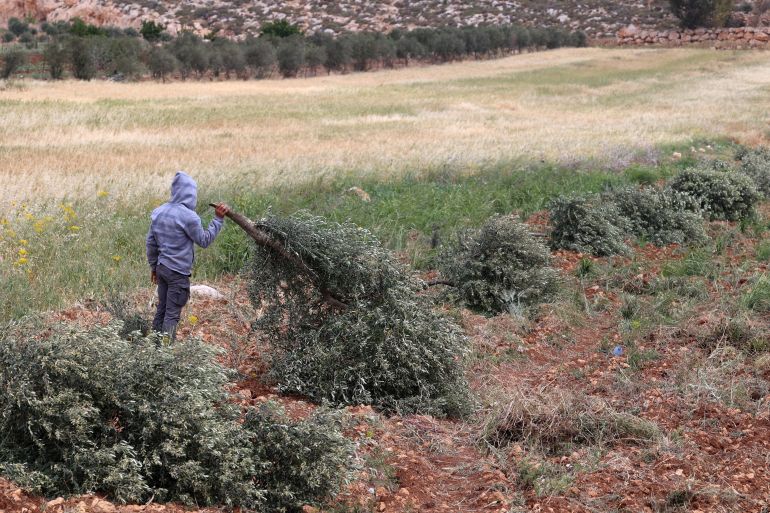 الاحتلال يقتحم مدنا بالضفة ومستوطنون يعتدون على فلسطينيين بالخليل 20 AFt 7 1747199434