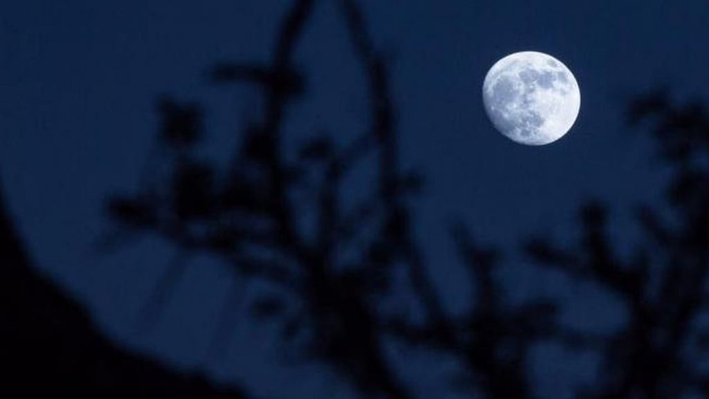 “فلكية جدة”: قمر التربيع الأخير يُزين السماء اليوم ajel2F2022 032F88a8ae58 89b5 41a4 8d70 3940868cc5182F1