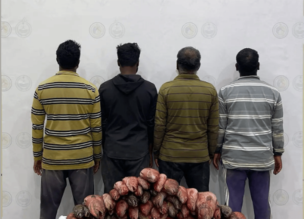 ضبط 4 مقيمين مخالفين للائحة الأمن والسلامة لمزاولي الأنشطة البحرية بالمملكة ajel2F2025 05 042Fzmvrz3552FCapture