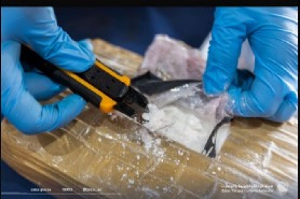 إحباط تهريب 40 كيلوغرام من الكوكايين المخدر بميناء جدة الإسلامي ajel2F2025 05 092F7mk1g3wl2FD983D988