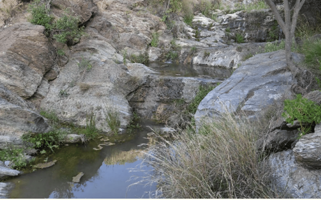 “الكُظَامة”.. مصدر مائي قديم عزز التكافل الاجتماعي في عسير ajel2F2025 05 102Fkzbpm96i2FCapture