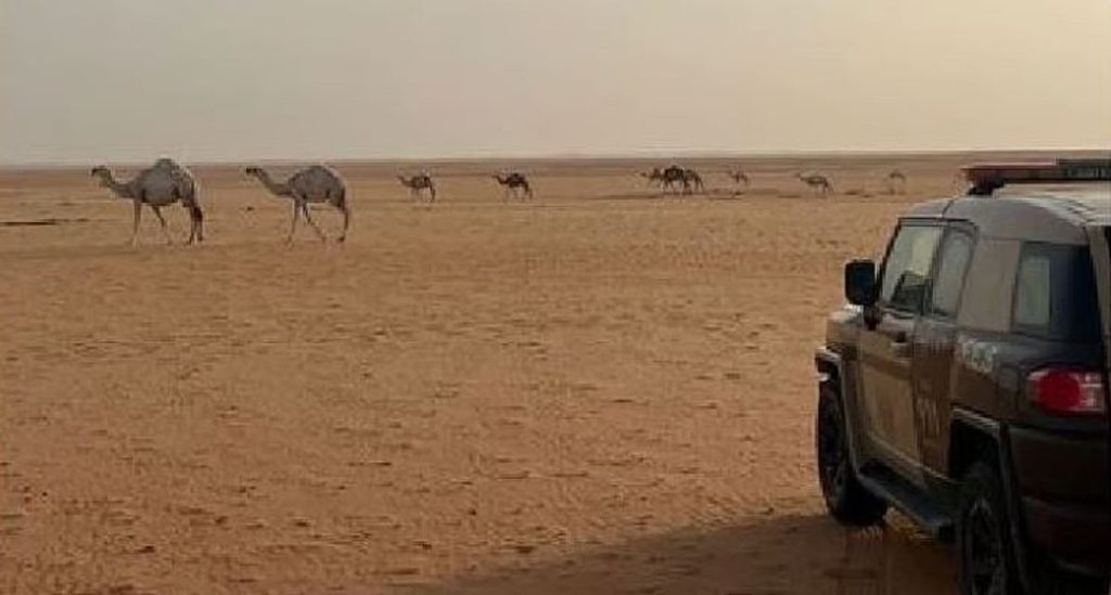 ضبط مواطن مخالف لنظام البيئة بمحمية الإمام عبدالعزيز بن محمد الملكية ajel2F2025 05 182Fo02fu8zk2FCapture