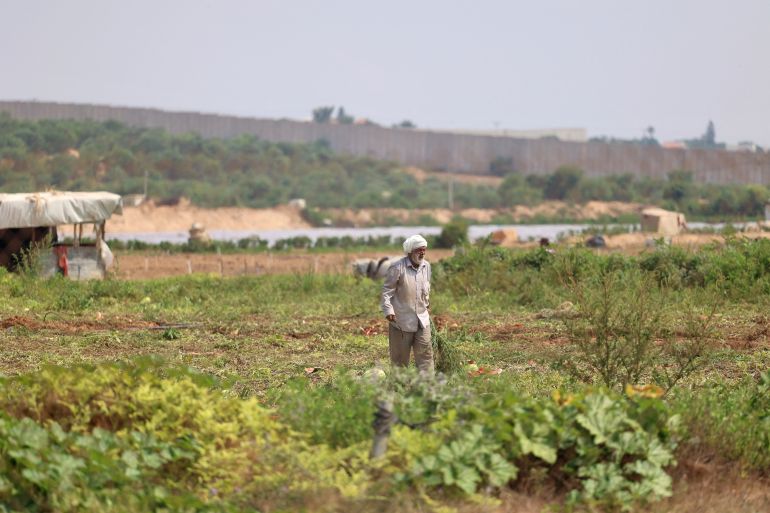 رئيس بلدية بيت حانون: من هنا بدأ مخطط تجويع غزة 1 A Palestinian farmer works in his field in Beit Hanoun near the Erez crossing between Israel and the northern Gaza Strip, on August 4, 2022. The Israeli army this week ordered the closure of several roads along the border with the Gaza Strip, fearing attacks from the Palestinian enclave following the arrest of an Islamic Jihad leader in the occupied West Bank. (Photo by MOHAMMED ABED / AFP)