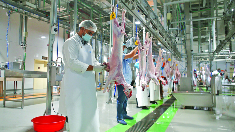 مخاطر صحية وبيئية ونفسية للذبح العشوائي 1748824674 image