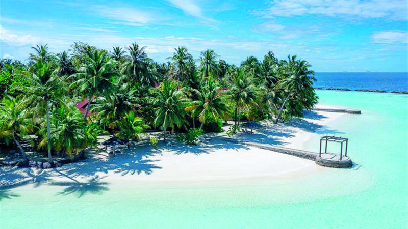 «دناتا للسفريات» و«الإمارات للعطلات» تروّجان للسياحة في المالديف 1749086495 image