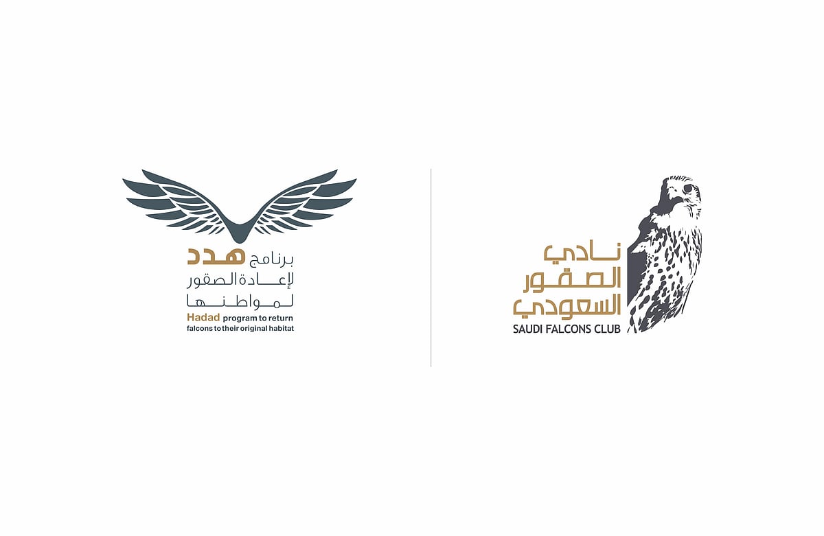 نادي الصقور السعودي يرفع أعداد «الوكري» المهدد بالانقراض إلى 14 صقرًا عبر برنامج «هدد» 1 a19c149d 13ac 466a 93cd d967994f1017