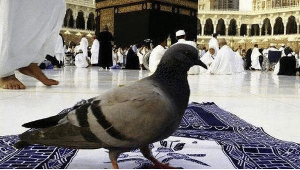 ajel2F2025 06 012Fna4fyrxf2FD8ADD985D8A7D985 D8A7D984D8ADD8B1D985