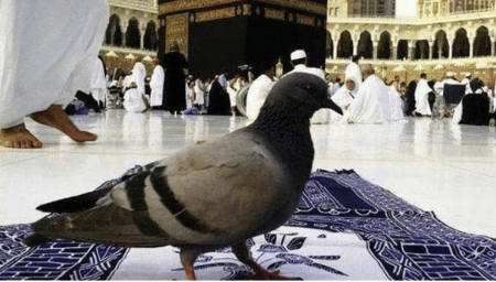 ajel2F2025 06 012Fna4fyrxf2FD8ADD985D8A7D985 D8A7D984D8ADD8B1D985