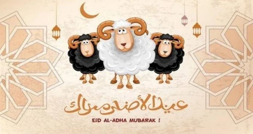 ajel2F2025 06 052Fkkilj5ht2FD8B9D98AD8AF D8A7D984D8A3D8B6D8ADD989