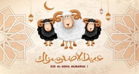 ajel2F2025 06 052Fkkilj5ht2FD8B9D98AD8AF D8A7D984D8A3D8B6D8ADD989