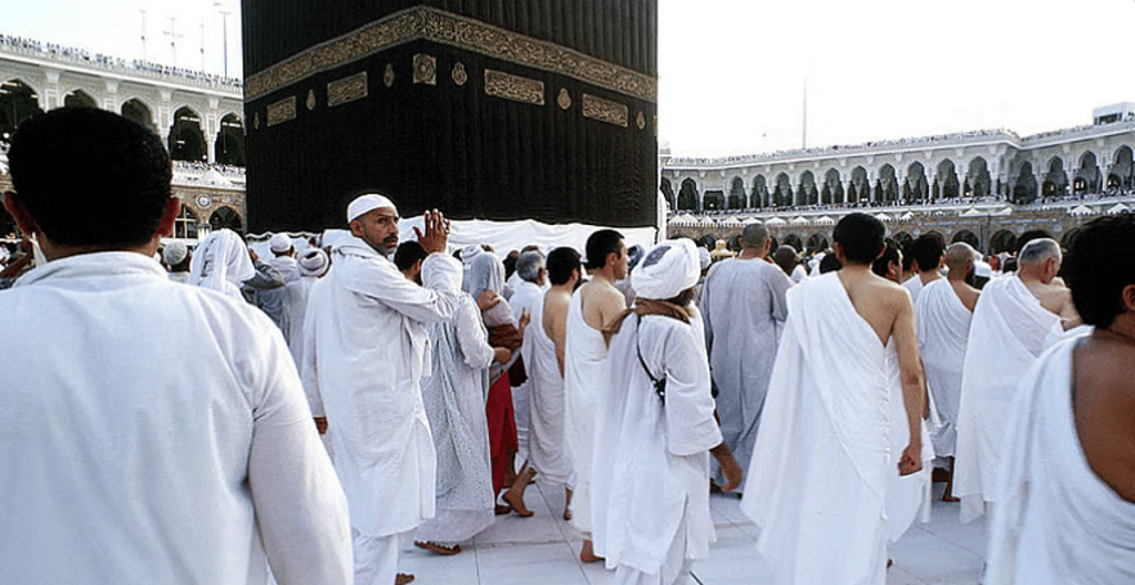 ajel2F2025 06 102F54lef6ez2FD8ADD8ACD8A7D8AC D985D986D8A7D8B3D983