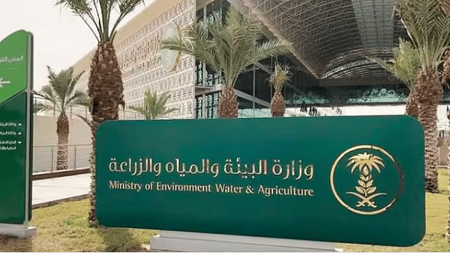 ajel2F2025 06 252F7pf2lsfw2FD988D8B2D8A7D8B1D8A9 D8A7D984D8A8D98AD8A6D8A9