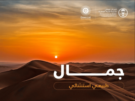 ajel2F2025 06 292Fpeymw15s2FScreenshot 2025 06 29 182421