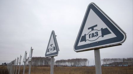 https3A2F2Fd1e00ek4ebabms.cloudfront.net2Fproduction2F97ef2c3a 3f25 4403 9b87 12acd32c91d0