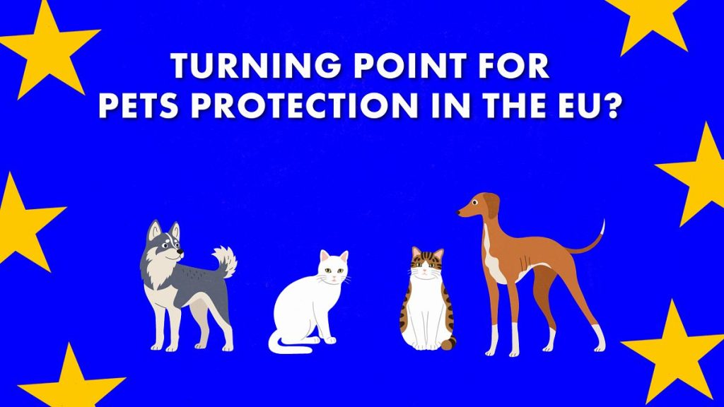 1200x675 cmsv2 cf5d3bb6 69df 5c03 b673 476f464ffa43 9340088