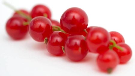 1753576209 image