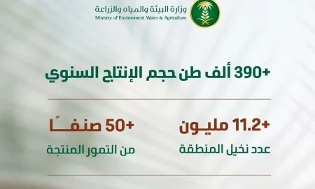 ajel2F2025 07 052Fdp0wzve22FCapture