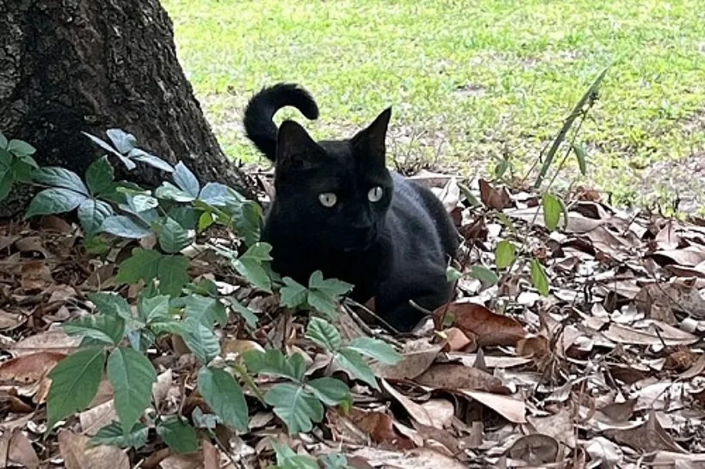 ajel2F2025 07 112F8lwnsoq22FIMG 20250711 WA0001